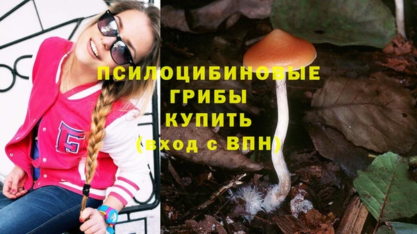 амф Краснотурьинск