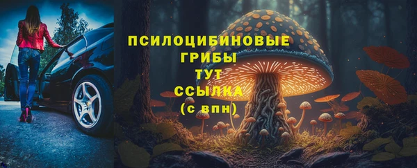 амф Краснотурьинск